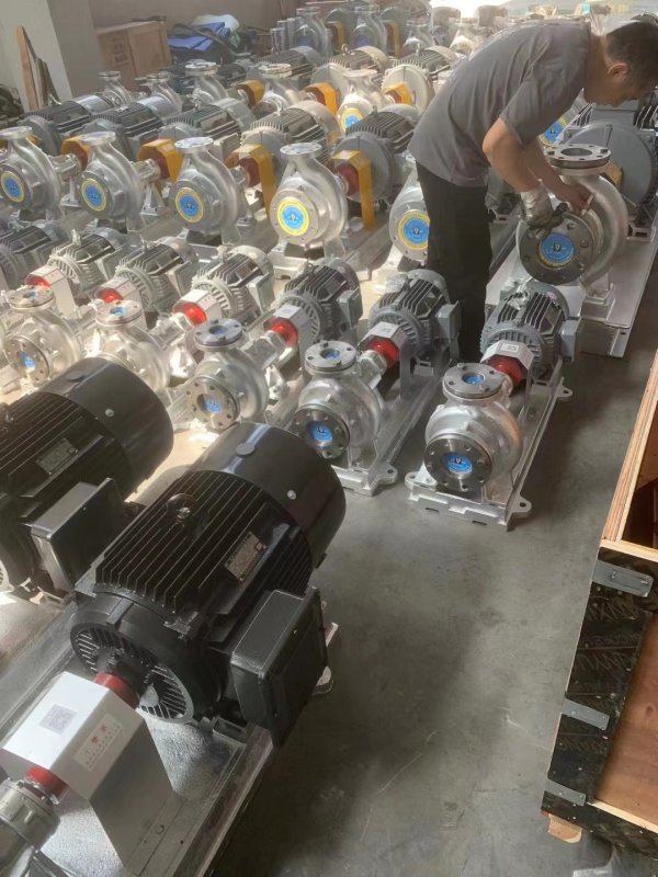 WRY系列熱油泵(bèng)